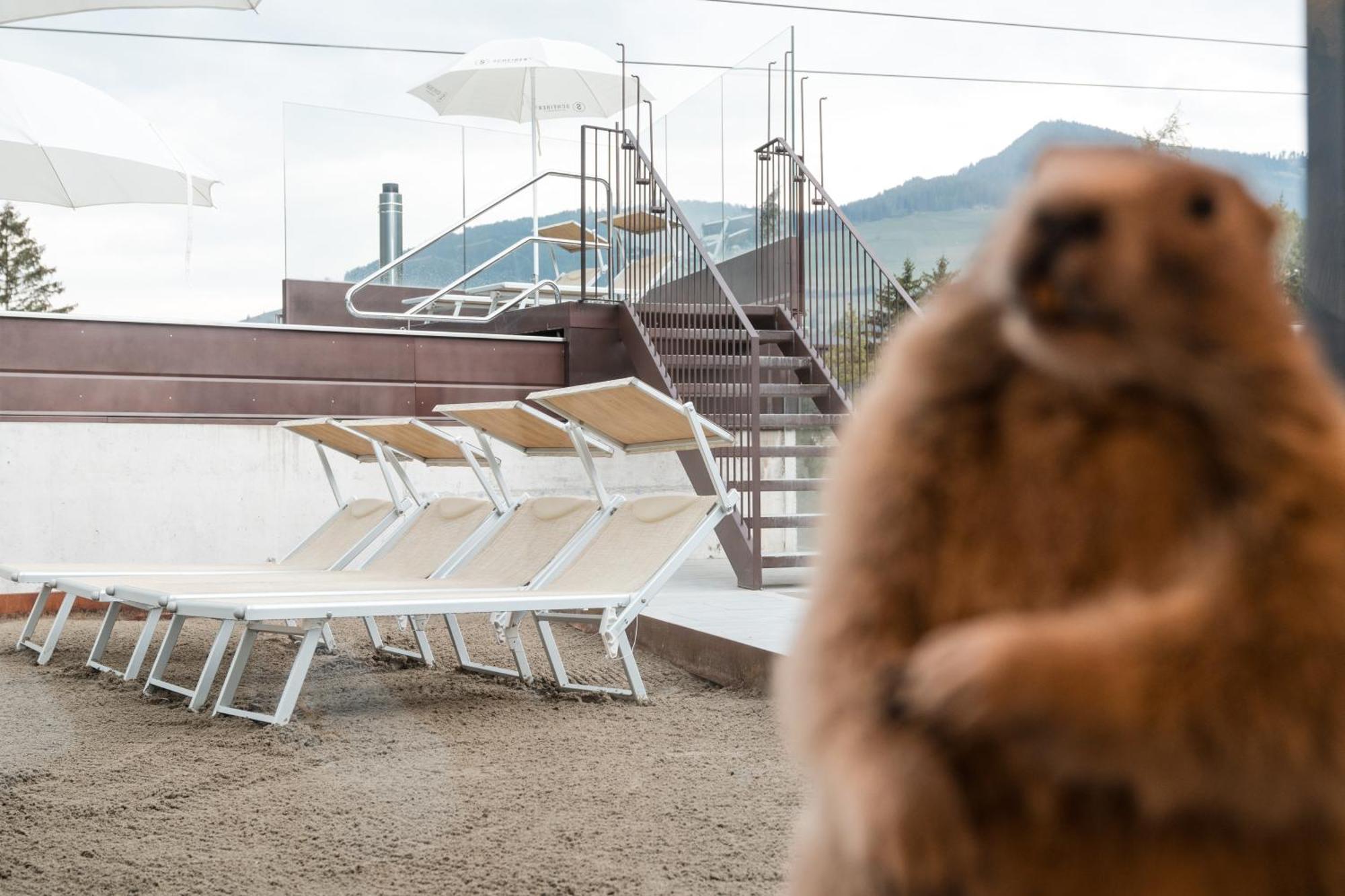 Al Plan, A Mountain Moving Hotel San Vigilio Di Marebbe Esterno foto
